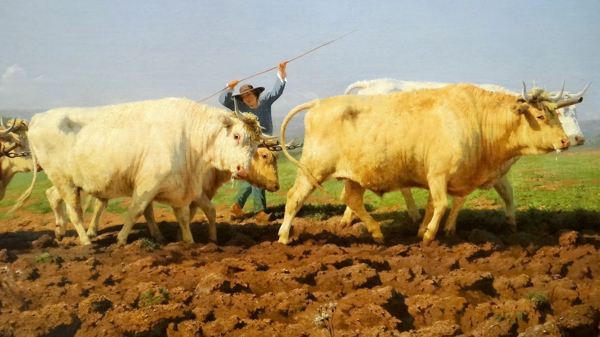 Aratura nel Nivernais, 1850 - dettaglio